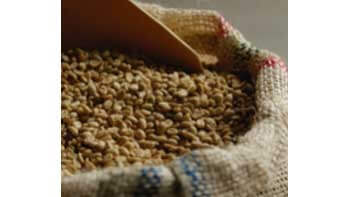 Producción de café de Colombia cae 12% en marzo y 4,4% en año cafetero