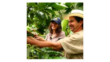$155 mil millones entregará el Gobierno nacional para apoyar al sector cafetero.