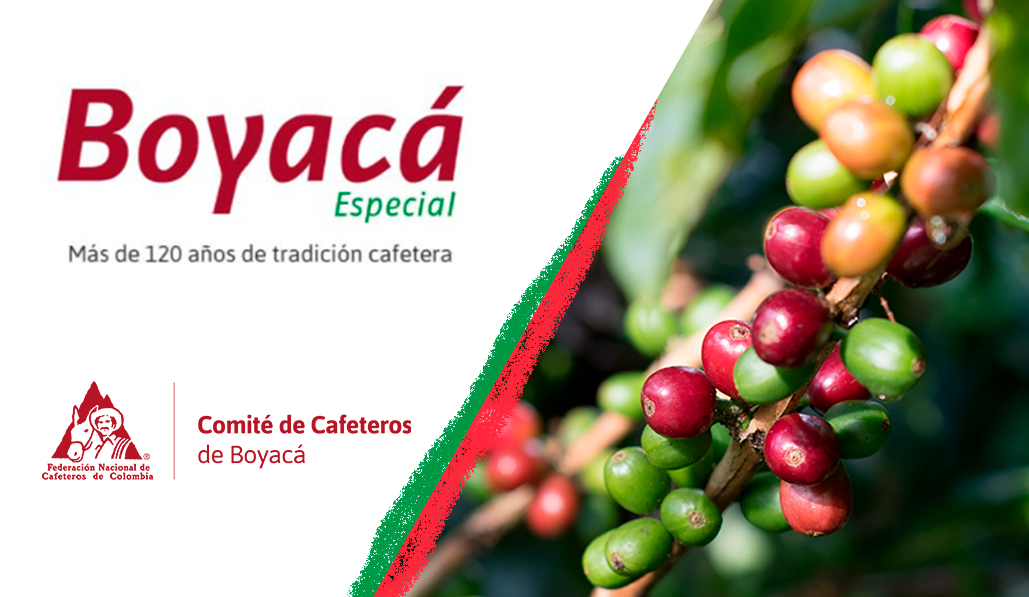 Boletín Boyacá Especial
